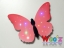 Little butterfly pink
